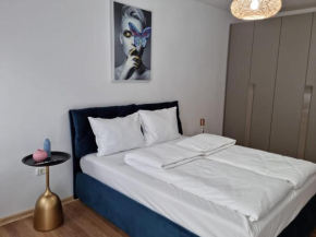 Отель Sasu Apartment  Тимишуаре